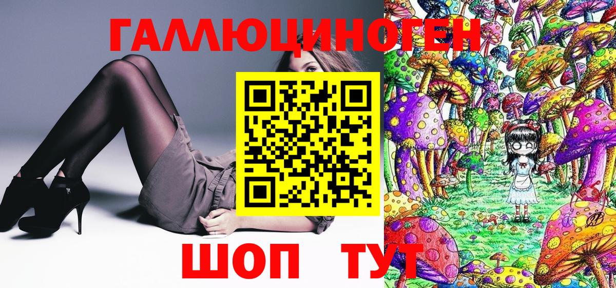 Псилоцибиновые грибы GOLDEN TEACHER  Галлюциногенные грибы мицелий  Ковров  Вход с VPN 